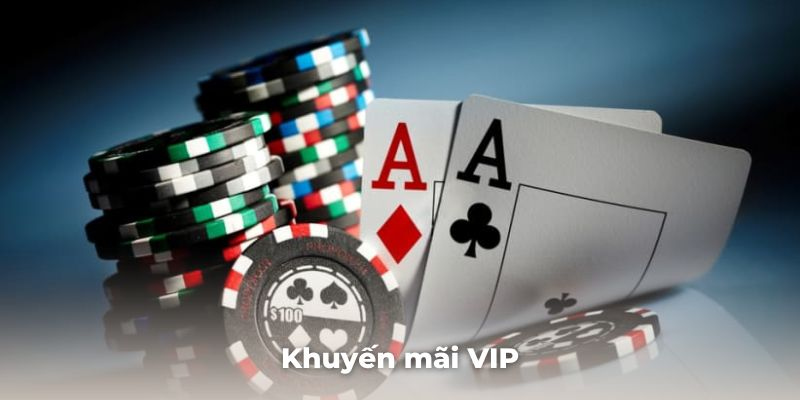 Thành viên VIP nhận đặc quyền khuyến mãi Tg88 riêng